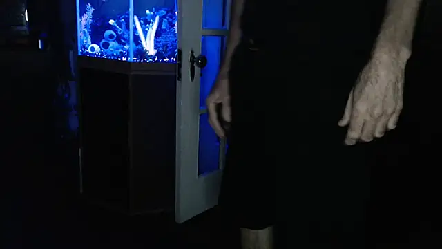 Show Webcam de EspanolVato