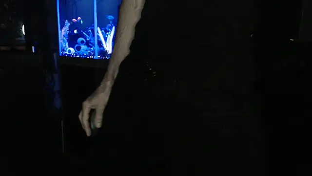 EspanolVato's Webcam Show