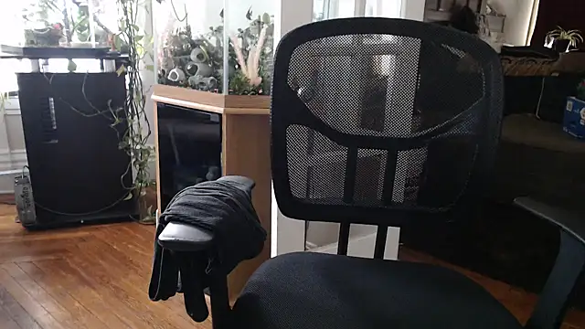 EspanolVato webkamerás műsora