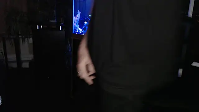 EspanolVato's Webcam Show