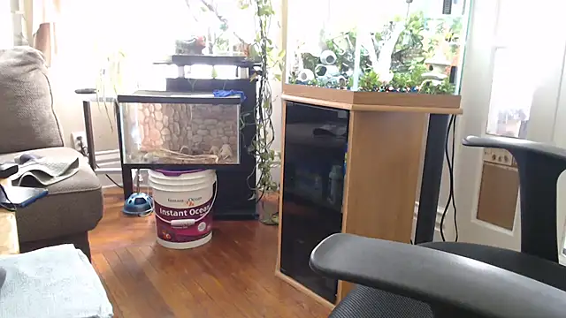 EspanolVato – webcam-show