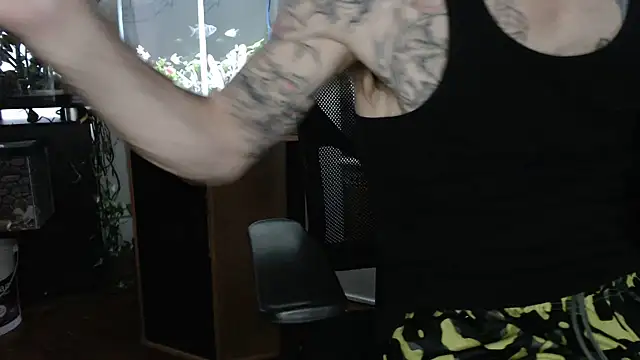 Show Webcam de EspanolVato