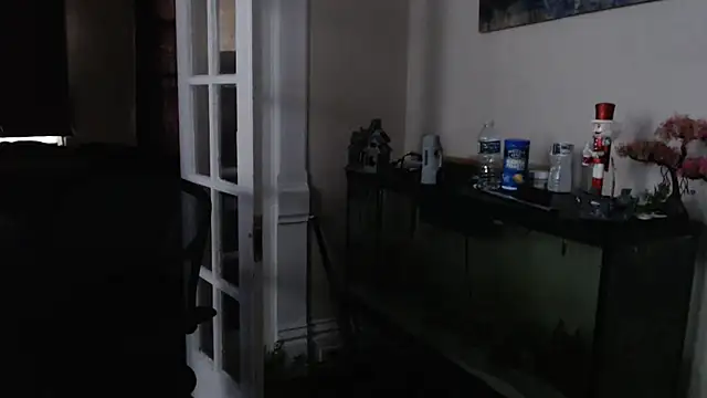 EspanolVato's Webcam Show