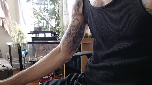 Show webcam de EspanolVato