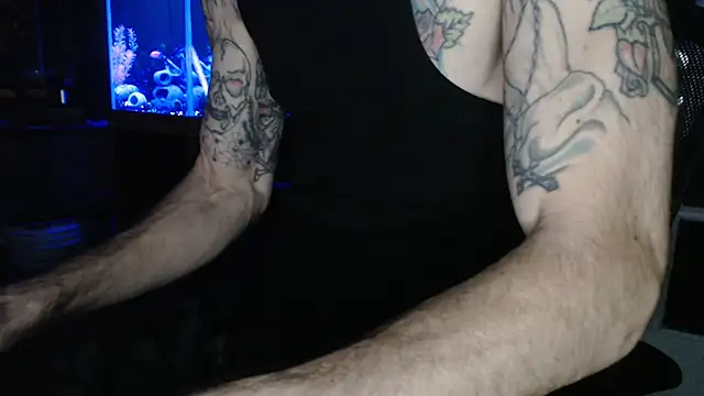 Show webcam de EspanolVato