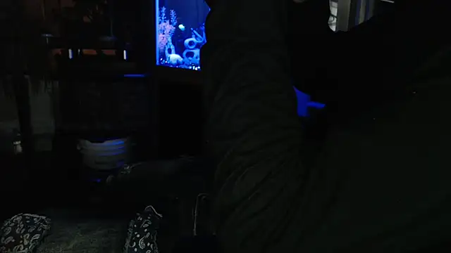 EspanolVato Webcam Show