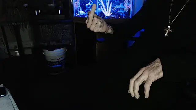 EspanolVato's Webcam Show