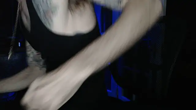 Show webcam de EspanolVato