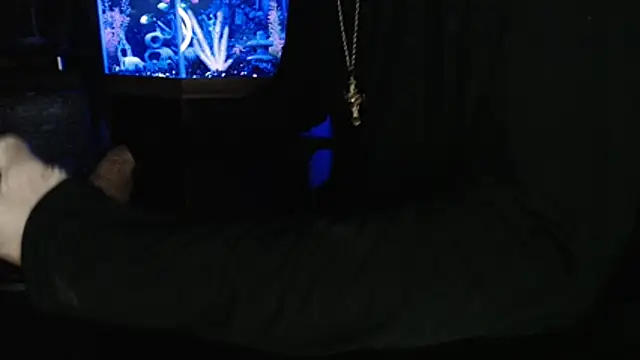 EspanolVato's Webcam Show