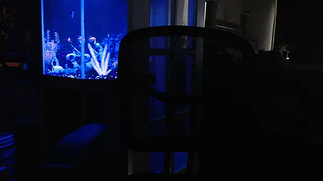 EspanolVato's Live XXX Chat