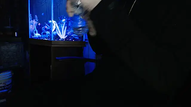 EspanolVato webkamerás műsora