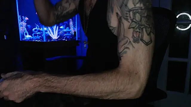 Show Webcam de EspanolVato