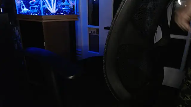 EspanolVato's Webcam Show
