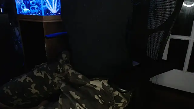 EspanolVato's Webcam Show