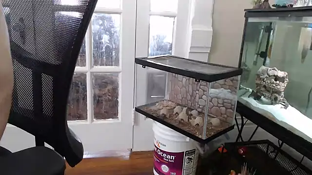 EspanolVato's Webcam Show
