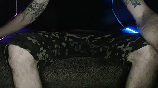 Show Webcam de EspanolVato
