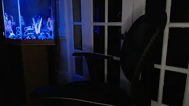 EspanolVato's Webcam Show