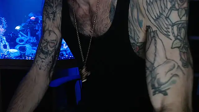 Show Webcam de EspanolVato