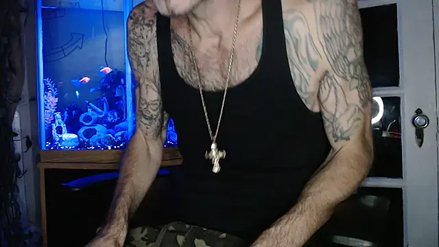 Show Webcam de EspanolVato