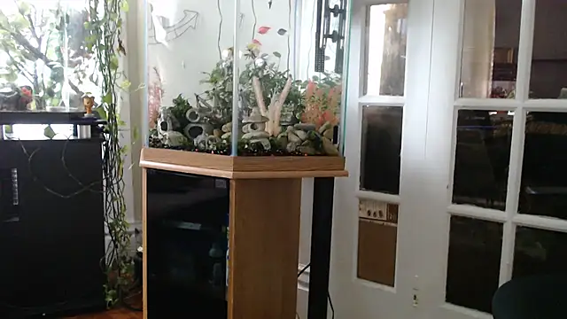 EspanolVato's Webcam Show