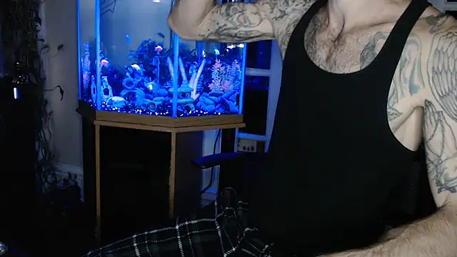 Show Webcam de EspanolVato