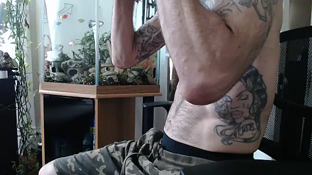 Show webcam de EspanolVato