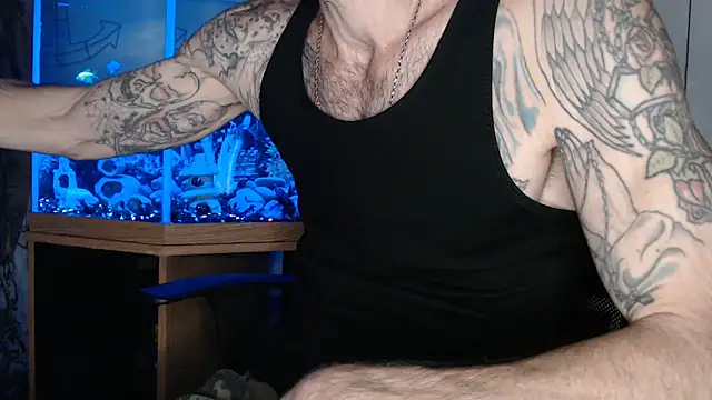 Show Webcam de EspanolVato