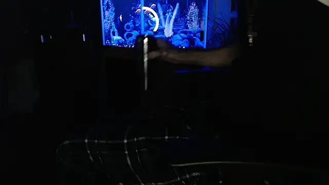 EspanolVato Show in webcam