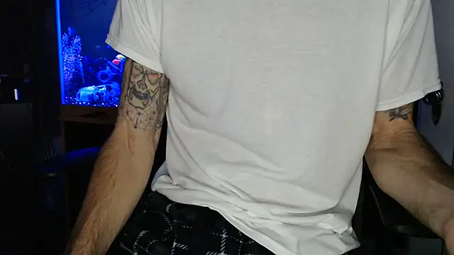 Show webcam de EspanolVato