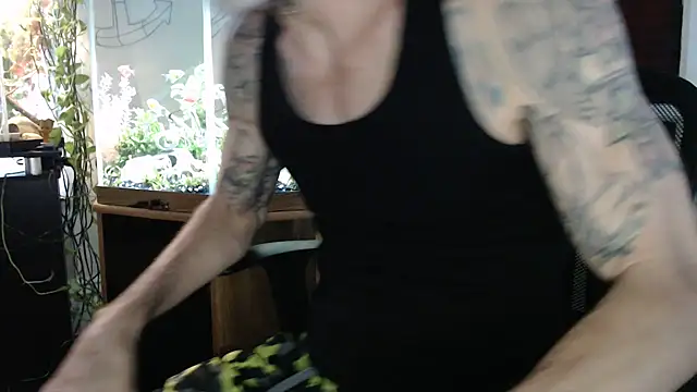 Show webcam de EspanolVato