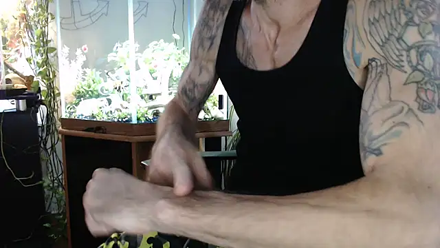 Show webcam de EspanolVato