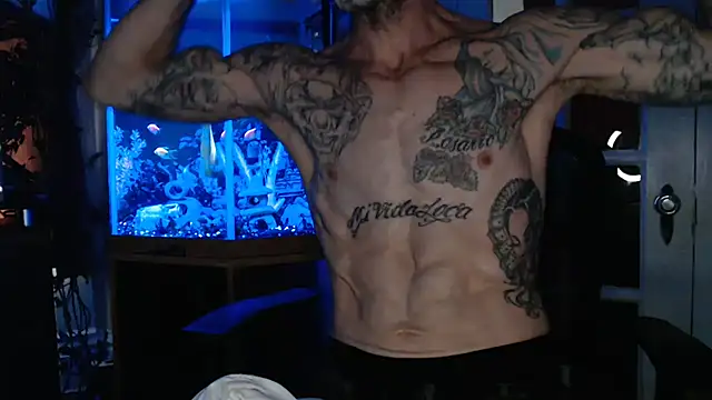 Show Webcam de EspanolVato