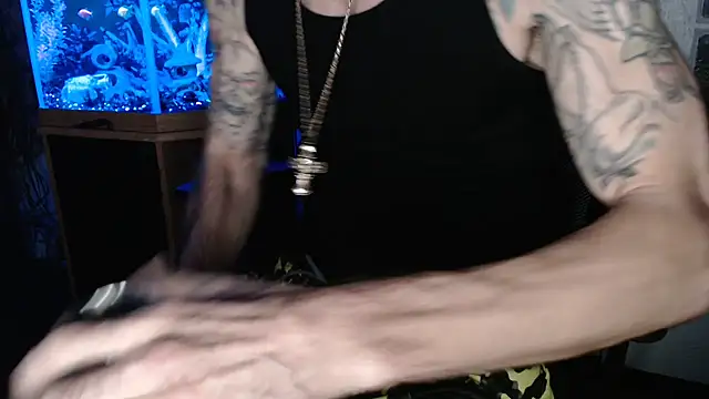 Show webcam de EspanolVato