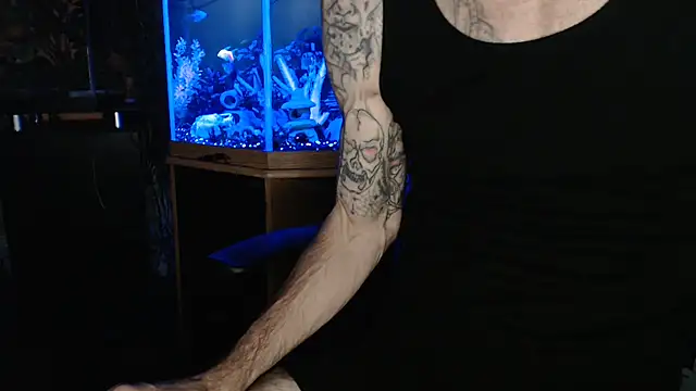 Show Webcam de EspanolVato