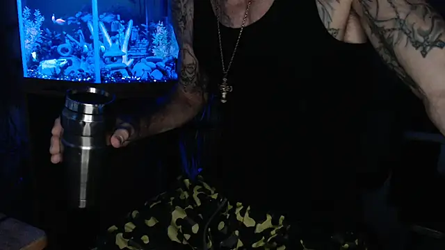 Show Webcam de EspanolVato