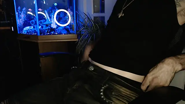 Show Webcam de EspanolVato