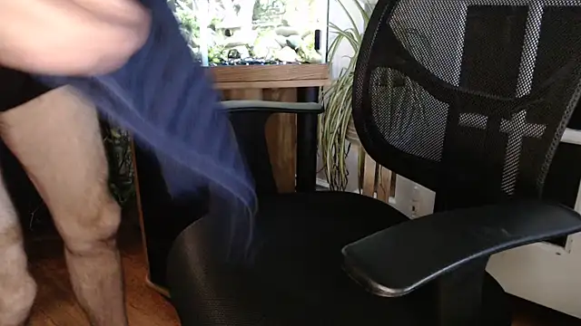 הופעת וובקאם של EspanolVato