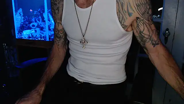 Show Webcam de EspanolVato