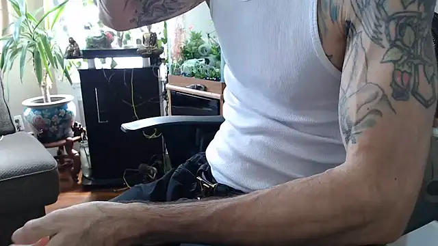 Show webcam de EspanolVato
