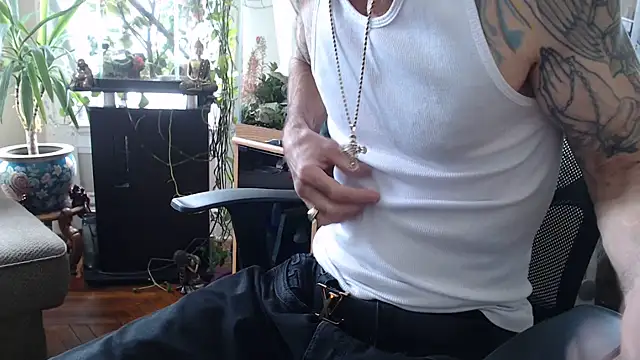 Show Webcam de EspanolVato