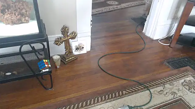 Show webcam de EspanolVato