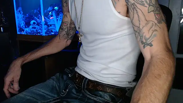 Show Webcam de EspanolVato