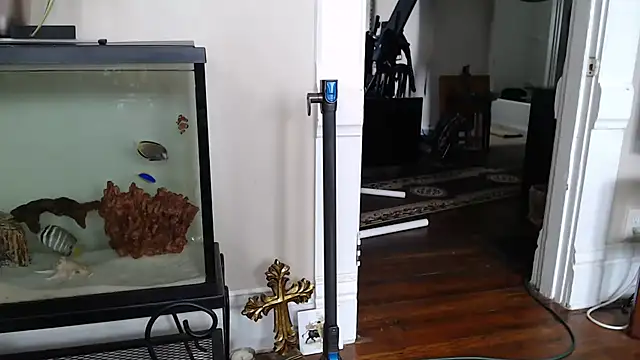 EspanolVato's Webcam Show