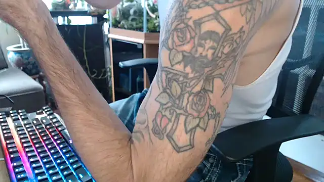 Show webcam de EspanolVato