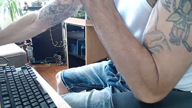 Show Webcam de EspanolVato