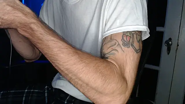 Show webcam de EspanolVato