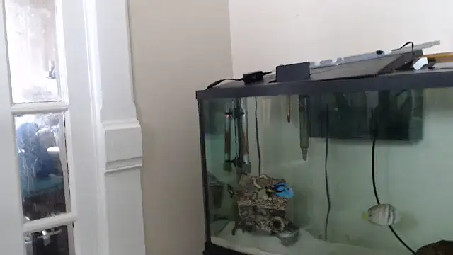 EspanolVato's Webcam Show