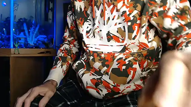 Show webcam de EspanolVato
