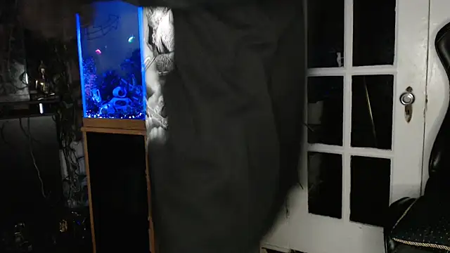 EspanolVato Webcam show