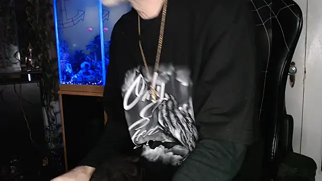 Show webcam de EspanolVato